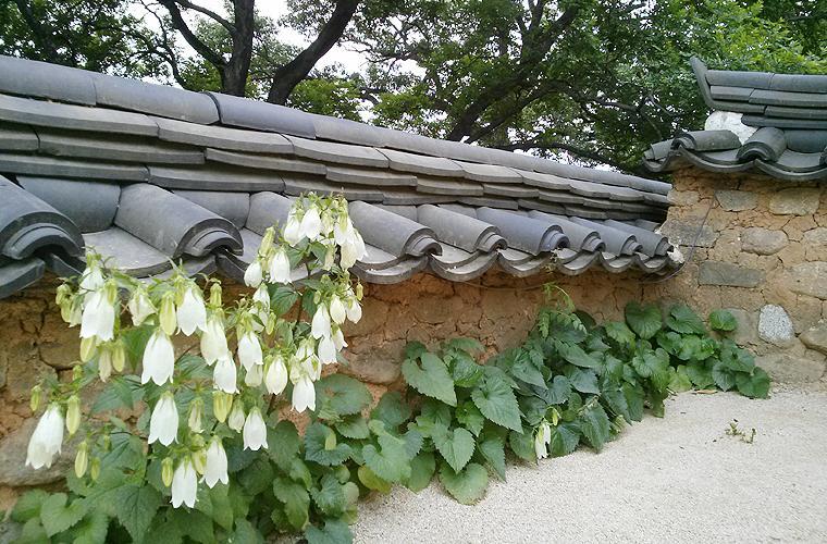 Okyeon Jeongsa Panzió Andong Kültér fotó